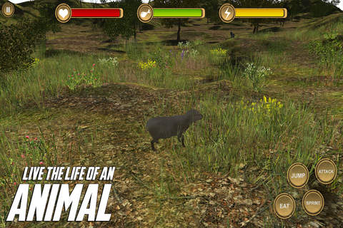 Sheep Simulator - HD screenshot 2