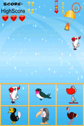 Free Bird Game American Bird Match And Catch screenshot 2