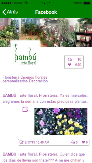 免費下載書籍APP|Bambu arte floral app開箱文|APP開箱王