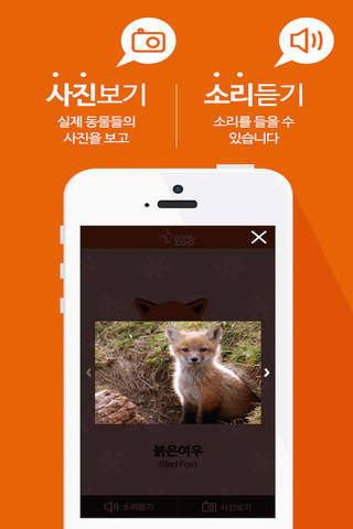 [서울동물원]멸종위기12종 동물소리 screenshot 4