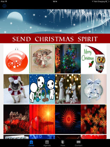 Have a Very Merry Christmas Greeting Cards