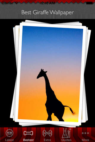 Best HD Giraffe Art Wallpapers for iOS 8 Backgrounds: Animal Theme Pictures Collection screenshot 4