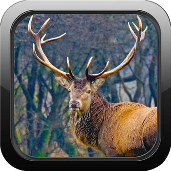 Deer Hunting Pro: Ace Trophy Hunter LOGO-APP點子