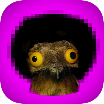 Afro Bird 遊戲 App LOGO-APP開箱王