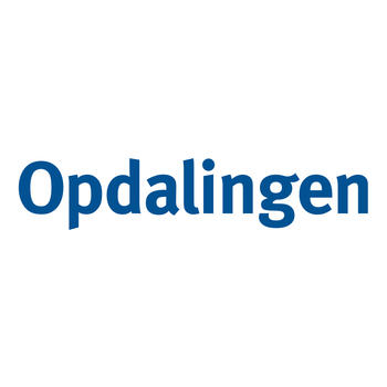 Opdalingen LOGO-APP點子