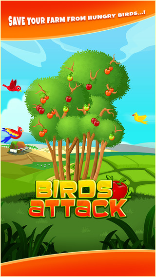 Birds Attack