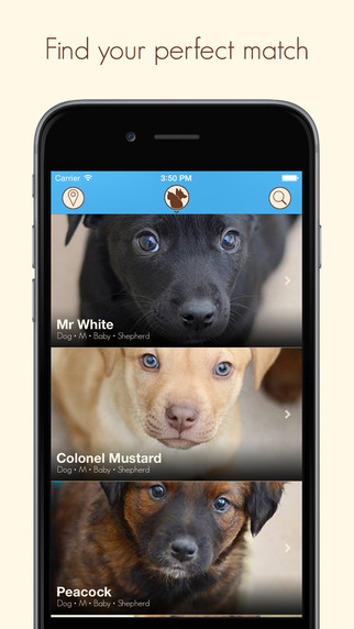 【免費生活App】coMpanion - Pet Finder and Adoption Assistant-APP點子