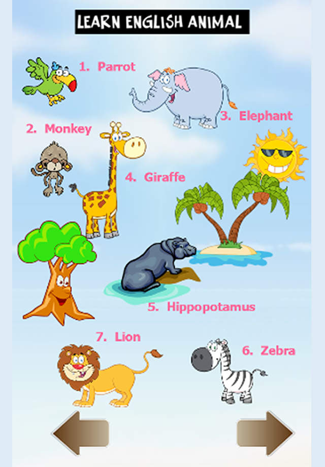 learn english animal