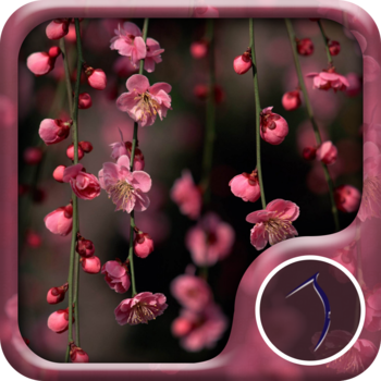 Spring Flowers Wallpaper: Best HD Wallpapers LOGO-APP點子