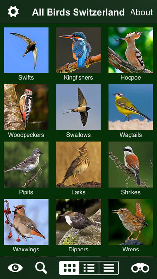 【免費書籍App】All birds Switzerland - a complete field guide to all the birds ever recorded in Switzerland-APP點子