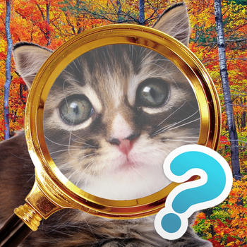 Find the Cat - look for a cat on a picture LOGO-APP點子