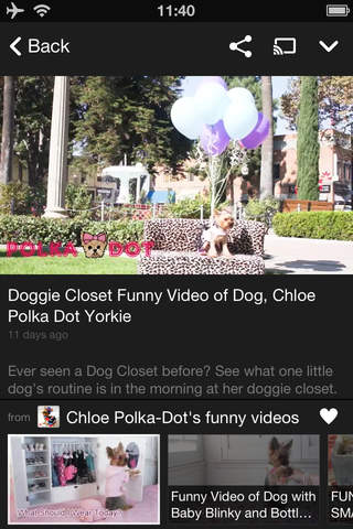 Chloe Polka screenshot 3
