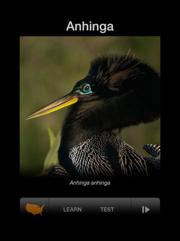 免費下載教育APP|BIRD SCHOLAR Free Edition app開箱文|APP開箱王