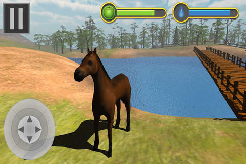 Horse Race Simulator screenshot 3