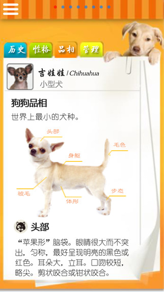 【免費生活App】Bible for Dog Lovers: How to Raise a Perfect Dog-APP點子