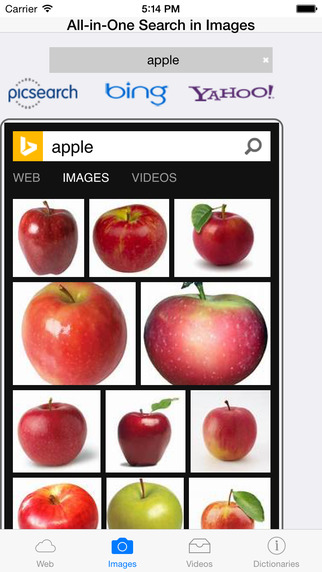 All-in-One Search in Web Images Videos and Dictionaries