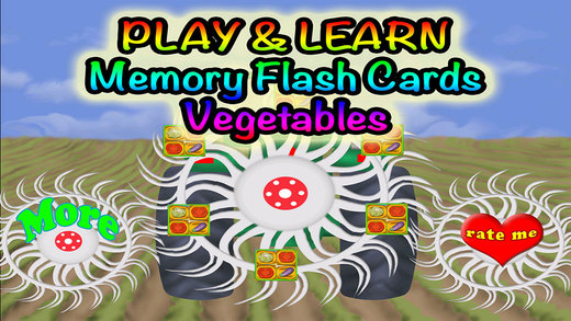 Vegetables Preschool Learning Experience Memory Match Flash Cards Game