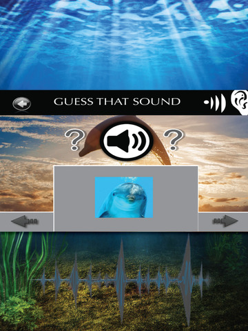 Fun Dolphin Sounds Edition screenshot 2