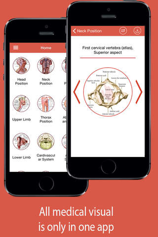 Visual Anatomy Free- Medical Dictionary for Medical Student screenshot 3