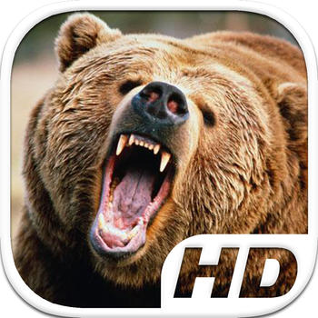 Bear Simulator HD Animal Life 遊戲 App LOGO-APP開箱王