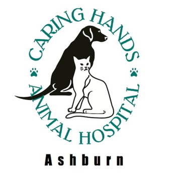 Caring Hands Animal Hospital LOGO-APP點子