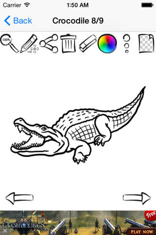 Learn How To Draw Wild Animals screenshot 4