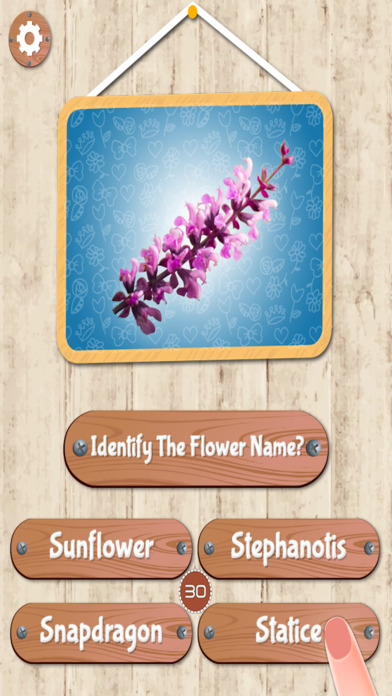 Flower Quiz Kids Game screenshot 4