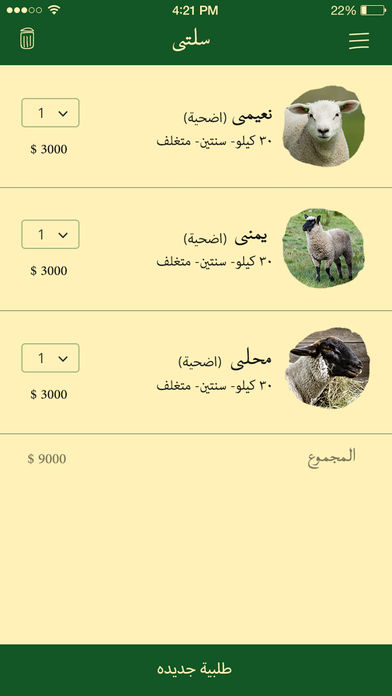 iPhone Screenshot 4