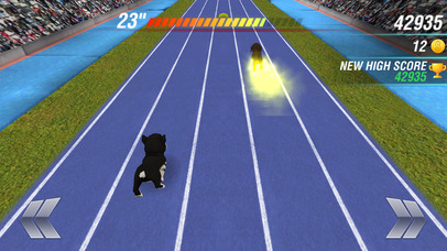 Puppy Evolution: The Dog Runner PRO screenshot 2