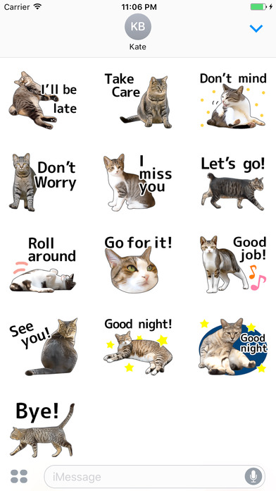 Cats and English phrases screenshot 3