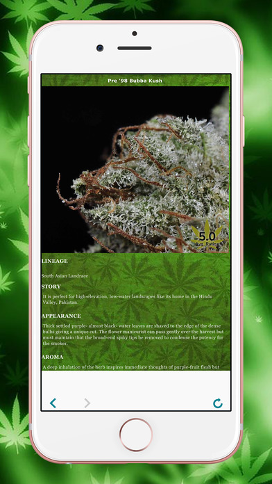 Marijuana - Rate My Strain screenshot 2