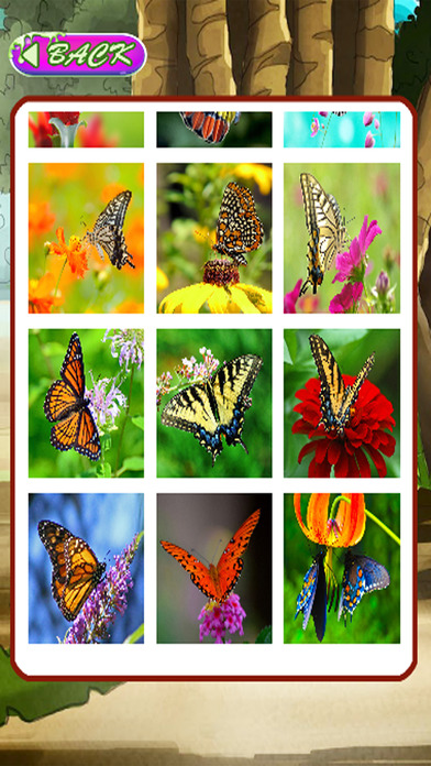 Puzzle Butterfly Games Jigsaw For Kids Edition screenshot 2