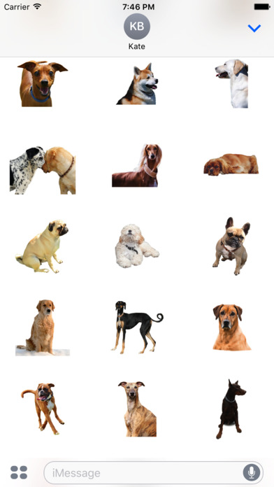Dog photo sticker screenshot 3