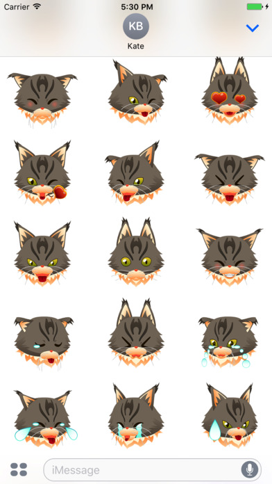 Maine Coon Cat Stickers for iMessage screenshot 2
