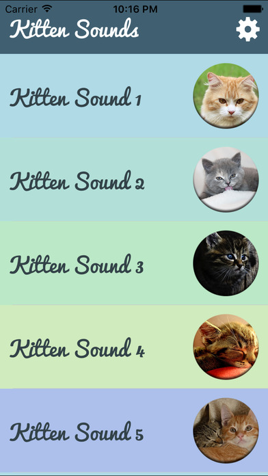 Kitten Sounds – Cat Meow Sound screenshot 2