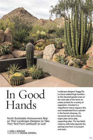 Phoenix Home & Garden magazine screenshot 3