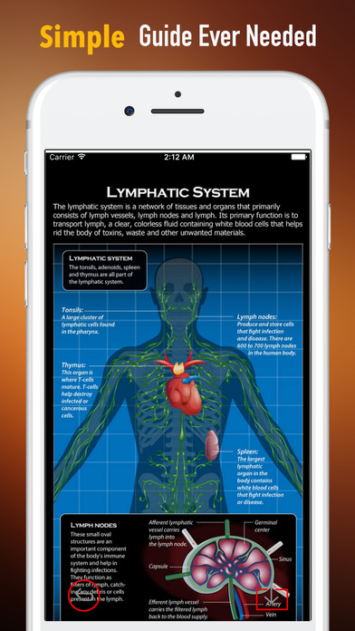 Lymph System Detoxes-Health Tips and Healing Diet screenshot 2