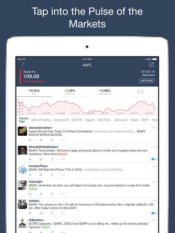 iPad Screenshot 2