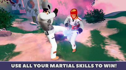Taekwondo Fighting Tiger Cup 3D screenshot 4