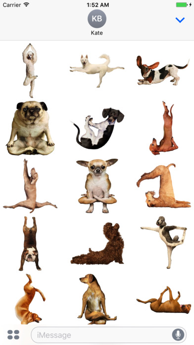 Yoga With Dog screenshot 2
