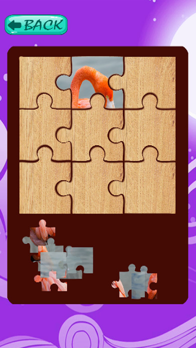 Flamingo Jigsaw Puzzles For Kids Educational screenshot 3