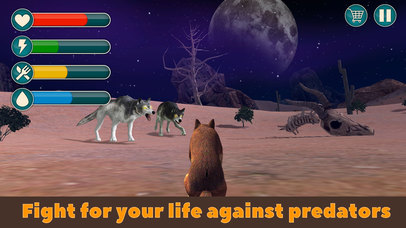 Wild Dingo Dog Survival Simulator 3D screenshot 4