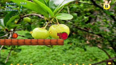A Real Fast Delight - A Fast Fruit screenshot 3