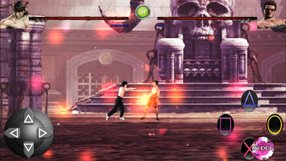 Jeet Kune Fighter screenshot 2