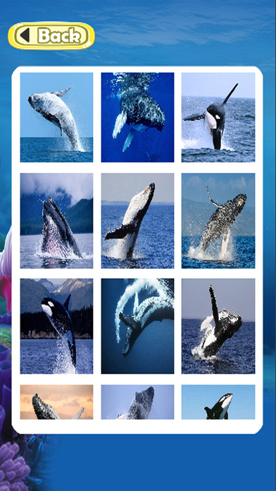 Puzzle Whale Jigsaw Games For Kids screenshot 2