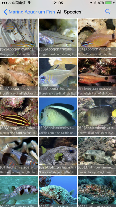 Marine Aquarium Fish screenshot 2