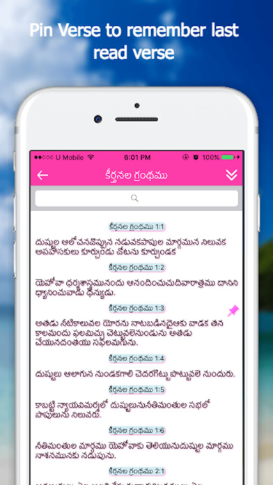 Bible App - Telugu screenshot 4