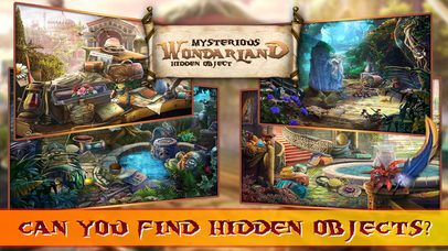 Mysterious Wonderland Hidden Object Pro screenshot 3
