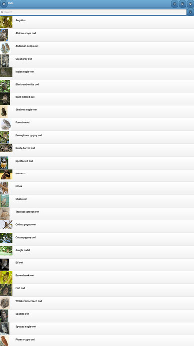 Directory of owls screenshot 4