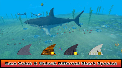 Hungry Dolphin Fish Simulator screenshot 2